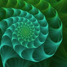 Image of an abstract fractal blue and green sea shell. 