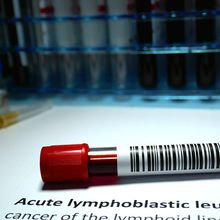 A full blood sample vial lying on top of a piece of paper that reads &ldquo;Acute lymphoblastic leukemia&rdquo;.