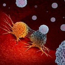 3D rendered medical illustration of T cells trying to subdue cancer cells.