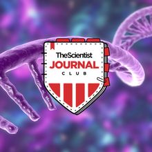 Journal club logo on purple background