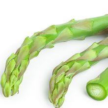 Fresh asparagus sliced horizontally, revealing inner microchannel structure.