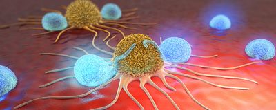 Tumors being attacked by cytotoxic T cells.