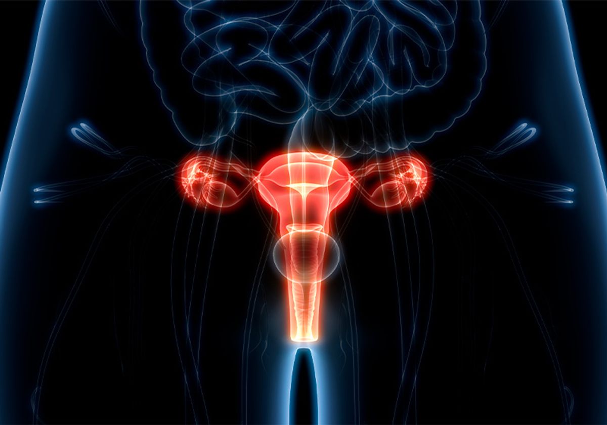 A graphic of the female reproductive system