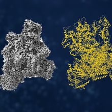 &nbsp;Dive into Cryo-EM&rsquo;s History, Milestones, and Insights.