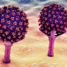 Characterizing Proteolysis During SARS-CoV-2 Infection