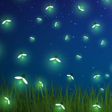 Illustration of glowing fireflies