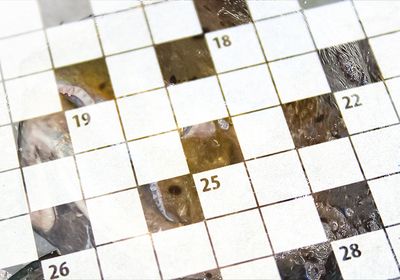 February 2023 crossword