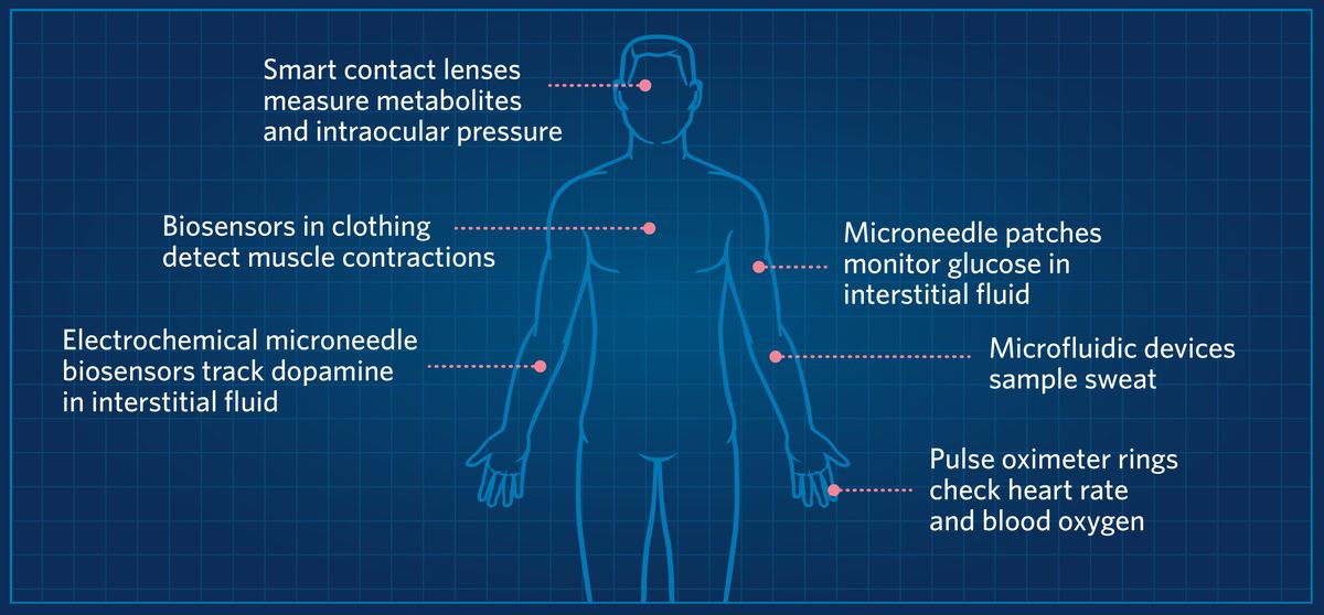 An infographic showing where on the human body wearable biosensors can take readings. Smart contact lenses measure metabolites and intraocular pressure. Biosensors in clothing detect muscle contractions. Electrochemical microneedle biosensors track dopamine in interstitial fluid. Microneedle patches monitor glucose in interstitial fluid. Microfluidic devices sample sweat, Pulse oximeter rings check heart rate and blood oxygen.