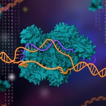 an artistic rendering of CRISPR/Cas9