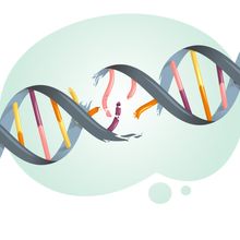 illustration of a broken DNA strand