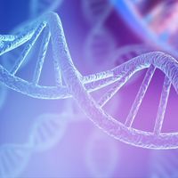 Blue-toned illustration of the DNA double helix, with additional DNA strands in the background