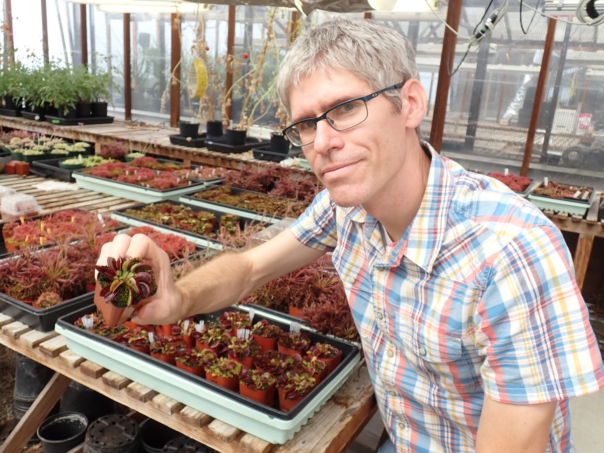Carl Procko sits with pallets of Venus flytrap plants.
