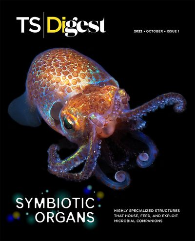 TS Digest October Issue 1 Cover Image