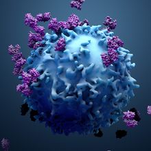 3d illustration proteins with lymphocytes , t cells or cancer cells 
