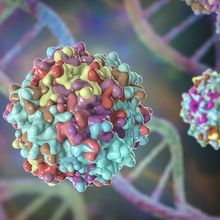 Introduction to AAV Gene Therapies