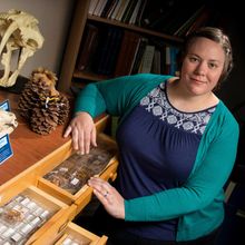 Paleoecologist Jacquelyn Gill sitting next to museum collection bones
