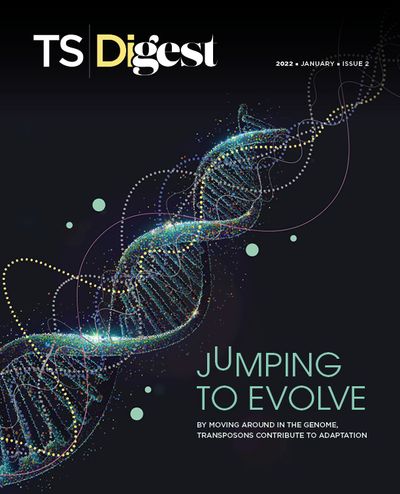 TS Digest January Issue 2 