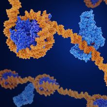 Image of methylated DNA