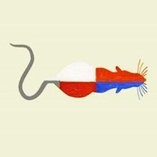 Illustration of a rat with red, white and blue sections