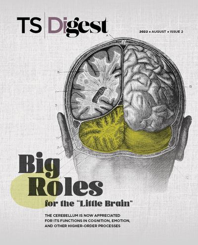 Cover of TS Digest August, Issue 2