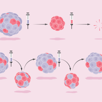 Infographic: Researchers Take Aim at Cancer Evolution
