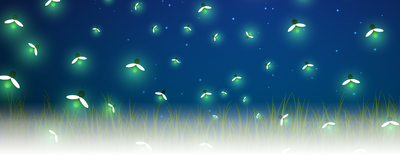 Illustration of glowing fireflies