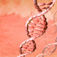 An illustration of several DNA helices on a light red water color background