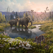 A wooded ecosystem with mammoths alongside modern species such as arctic hares